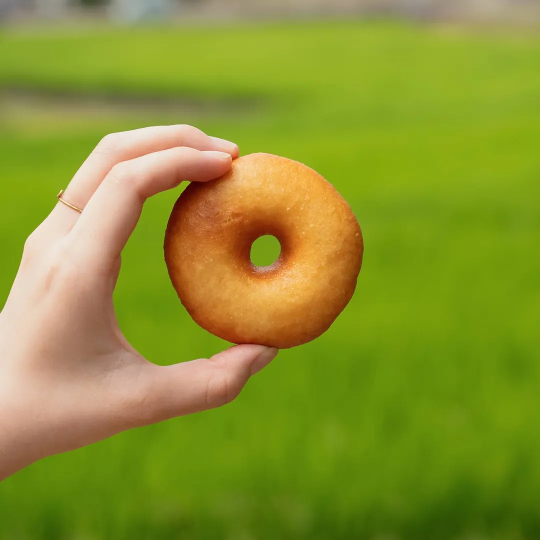 田万里家 RICE DONUT